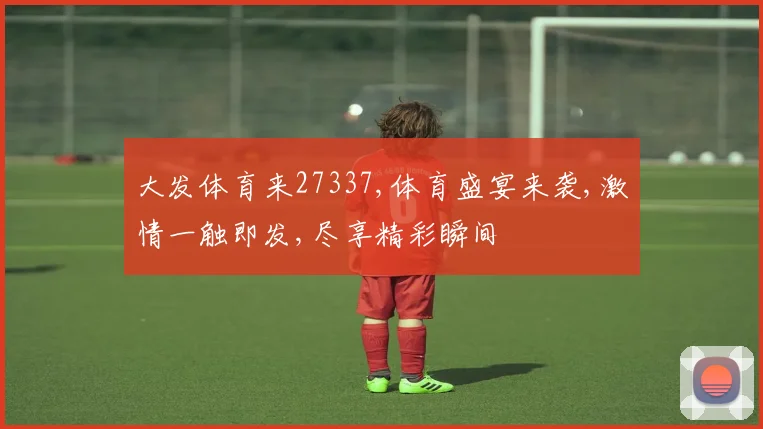 大发体育来27337,体育盛宴来袭,激情一触即发,尽享精彩瞬间